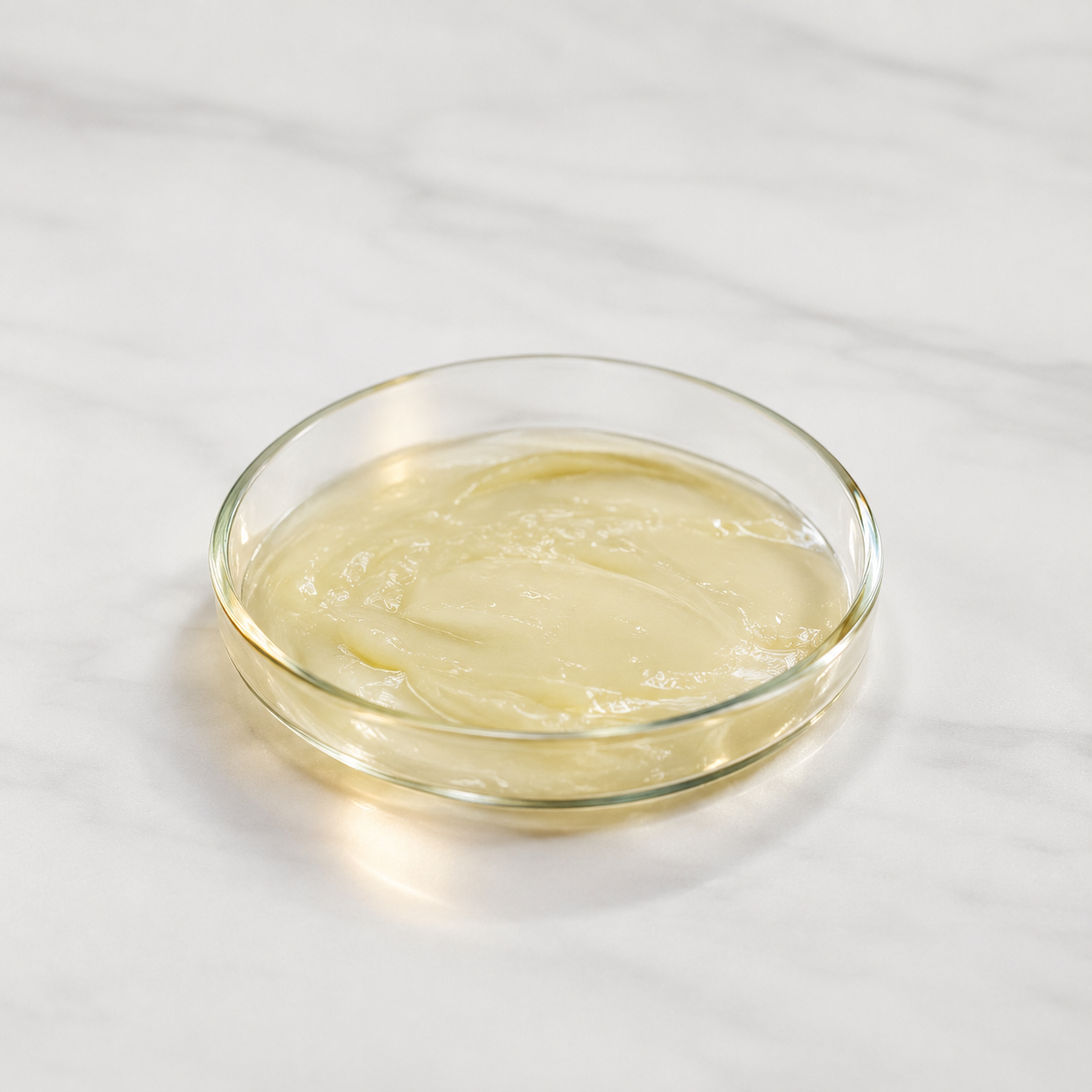 Pós-bióticos — extrato fermentado usado em skincare